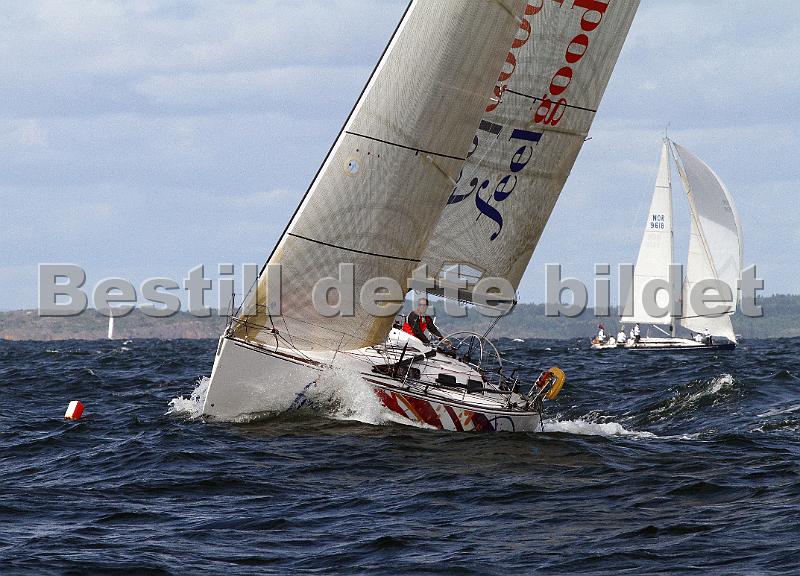 ORCi 349.jpg